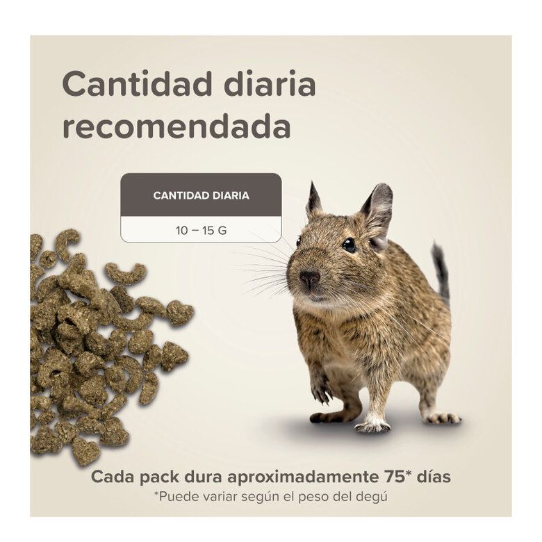 Beaphar Care+ Ração para degus,  Imagem número 7 Beaphar Care+ Ração para degus, , large Imagem número 7