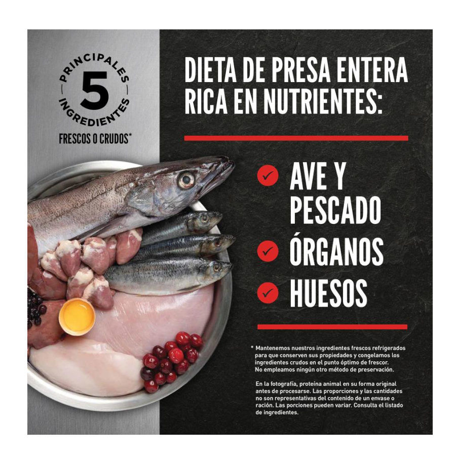 1.8 kg Orijen Kitten Frango com Per&uacute; e Salm&atilde;o ra&ccedil;&atilde;o para gatitos, , large Imagem n&uacute;mero 3