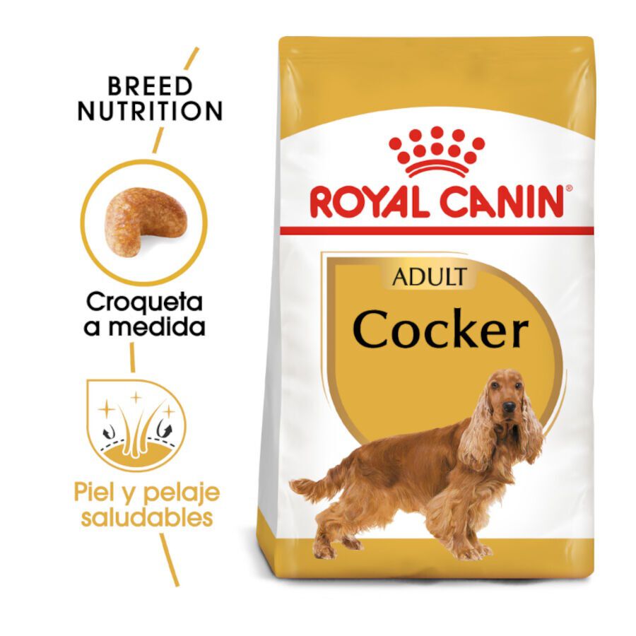 12 kg Royal Canin Adult Cocker ra&ccedil;&atilde;o para c&atilde;es, , large Imagem n&uacute;mero 2
