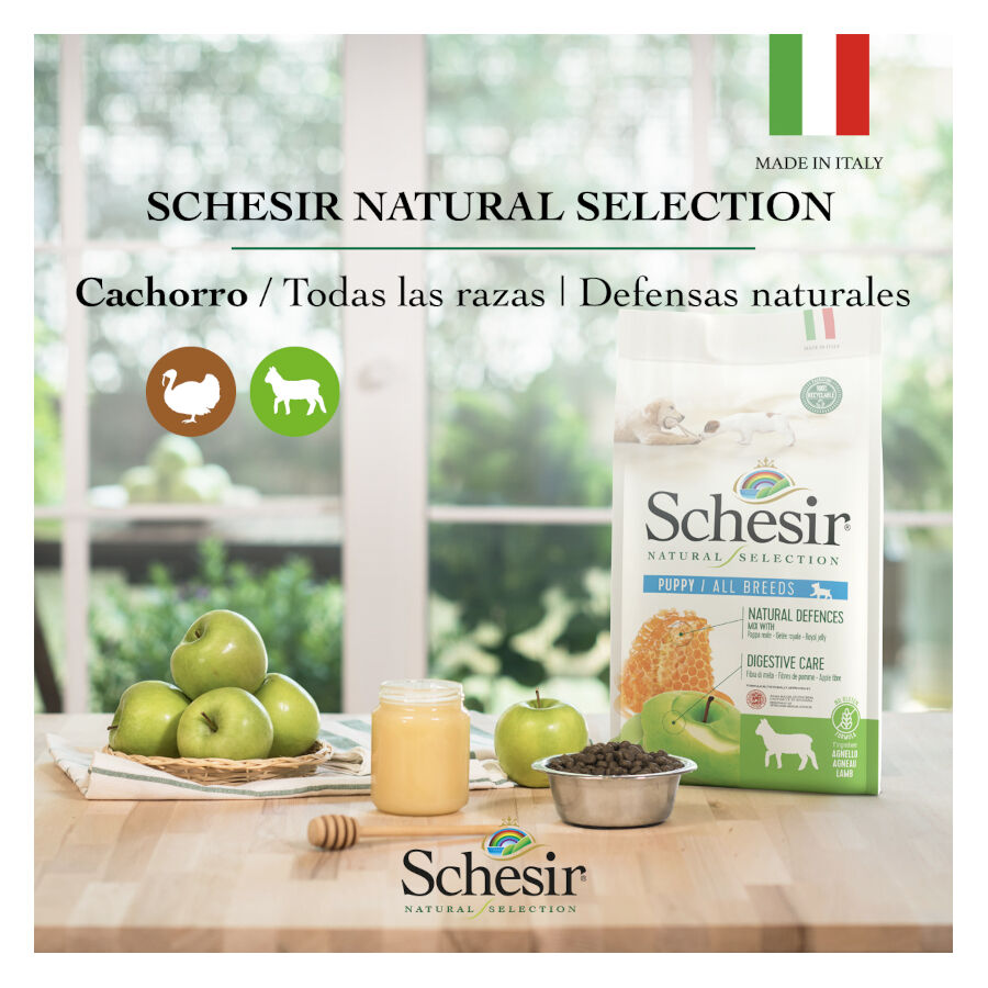 2.24 kg Schesir Puppy Natural Selection Peru ra&ccedil;&atilde;o , , large Imagem n&uacute;mero 4