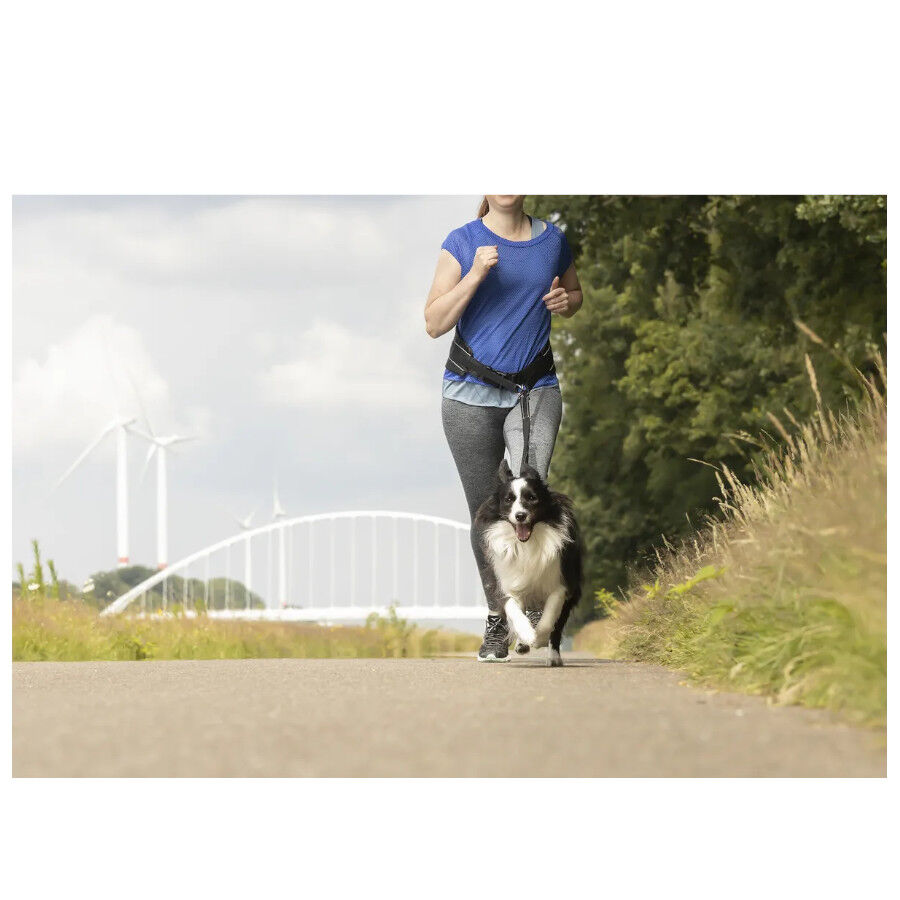 Flamingo Trela para c&atilde;es cor Preta, , large Imagem n&uacute;mero 3