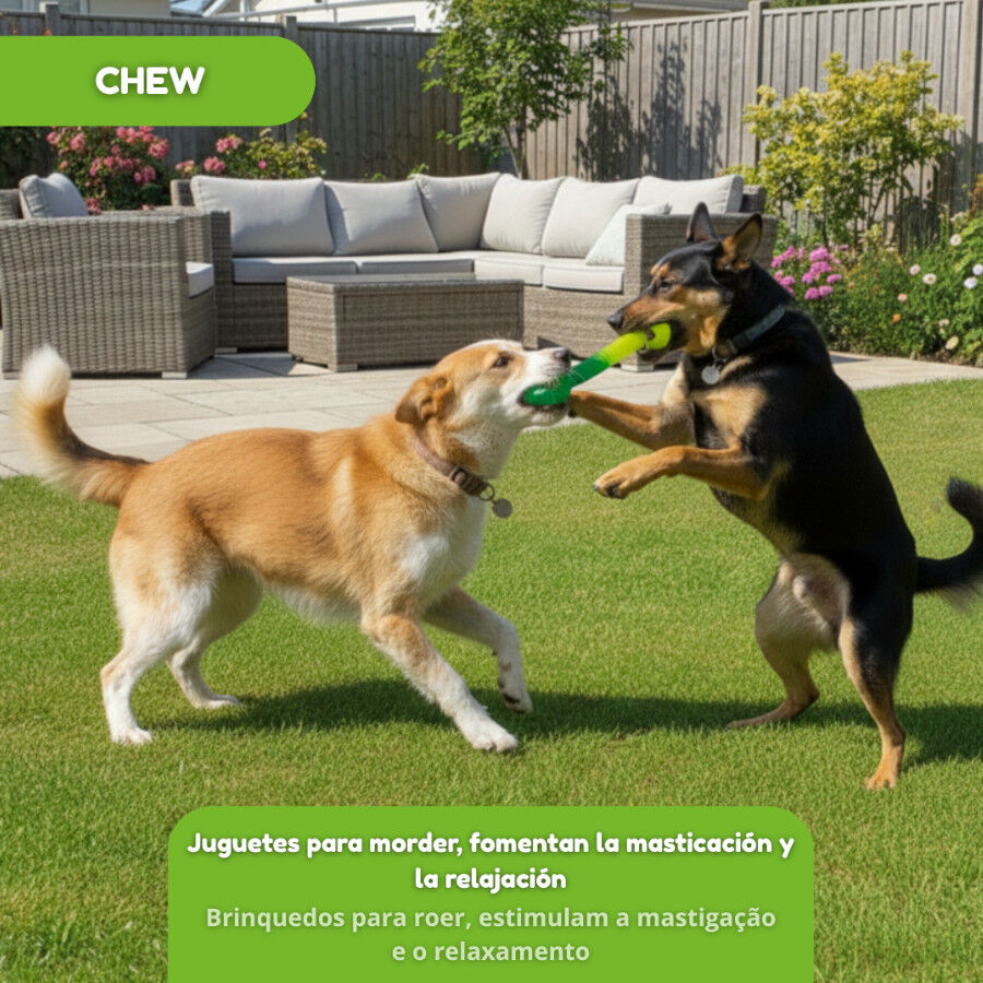 Tootoy! Chew Mordedor pegar e puxar para c&atilde;es, , large Imagem n&uacute;mero 5