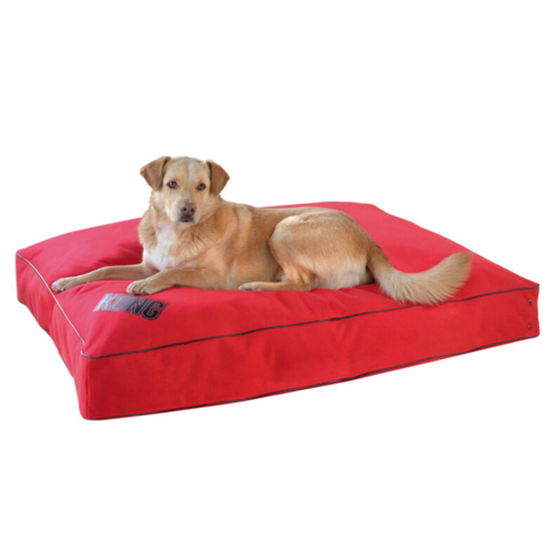 colchon_perro_kong_impermeable_rojo_KONCA03010_M Imagem número 1 Kong colchón impermeable para perros Imagem número 1