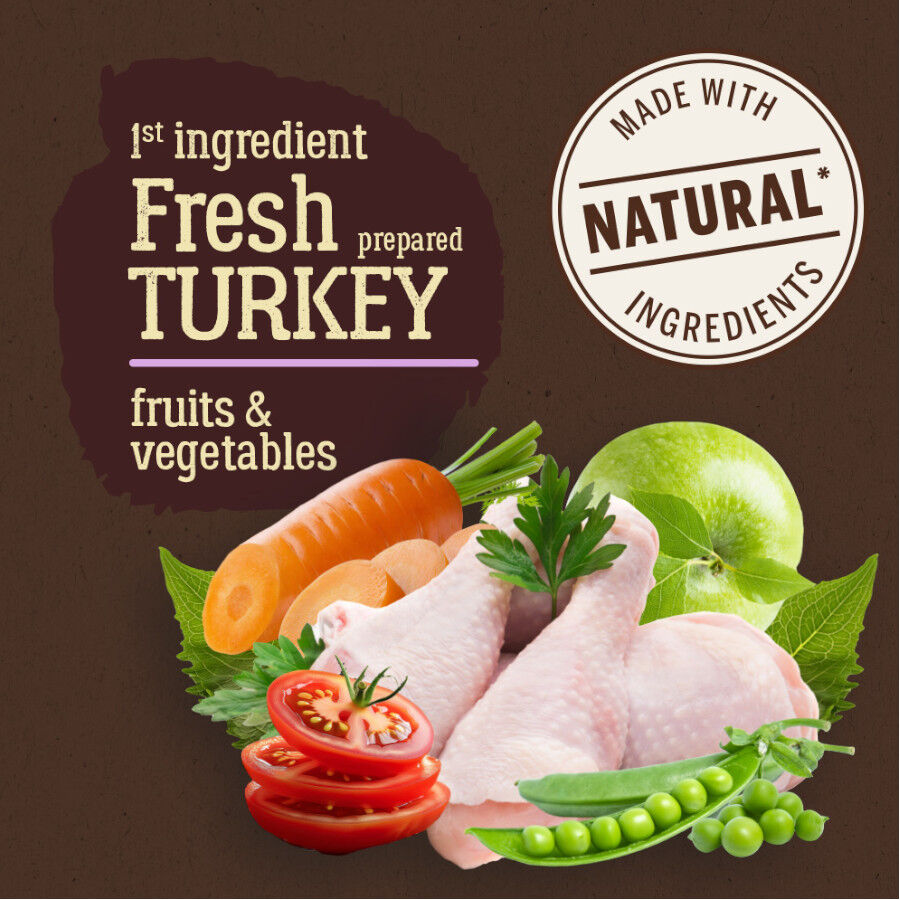 3 kg True Origins Pure Grain Free Adult Ra&ccedil;&atilde;o de peru para c&atilde;es, , large Imagem n&uacute;mero 2