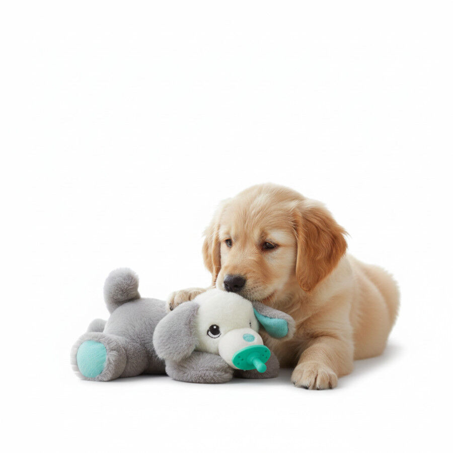 All For Paws Brinquedo chupeta Heartbeat branco para cachorros, , large Imagem n&uacute;mero 3