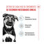 4 kg Royal Canin Puppy Maxi ra&ccedil;&atilde;o para c&atilde;es, , large Indicador imagem n&uacute;mero 3