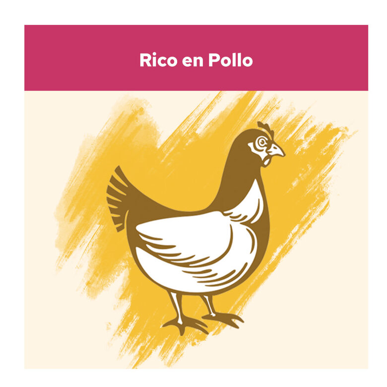 15 kg Cat Chow Urinary Tract Health Frango ração para gatos,  Imagem número 4 15 kg Cat Chow Urinary Tract Health Frango ração para gatos, , large Imagem número 4