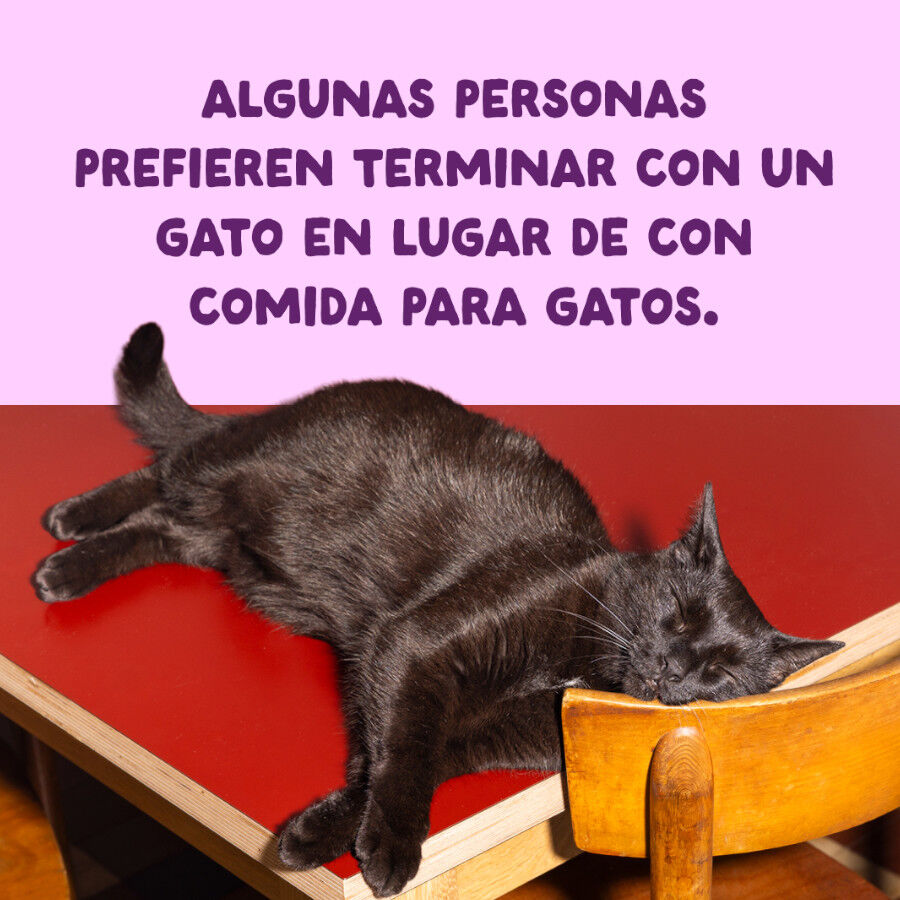 70 g Edgard & Cooper Filetes de Salm&oacute;n y Pollo Lata para gatos, , large Imagem n&uacute;mero 9