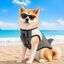 Colete salva-vidas Summer Vibes Shark para c&atilde;es, , large Indicador imagem n&uacute;mero 1