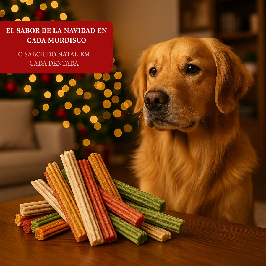 12 barritas Wonder Christmas Barritas Navide&ntilde;as para perros, , large Imagem n&uacute;mero 4