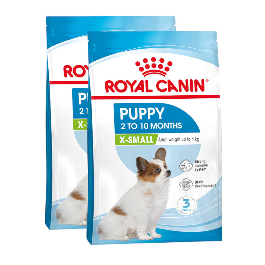 2 x 3 kg Royal Canin X-Small Puppy ra&ccedil;&atilde;o para c&atilde;es Pack poupan&ccedil;a!, , large Imagem n&uacute;mero 1