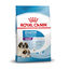 15 kg Royal Canin Starter Puppy Giant Ração para cachorro, , large Indicador imagem número 1