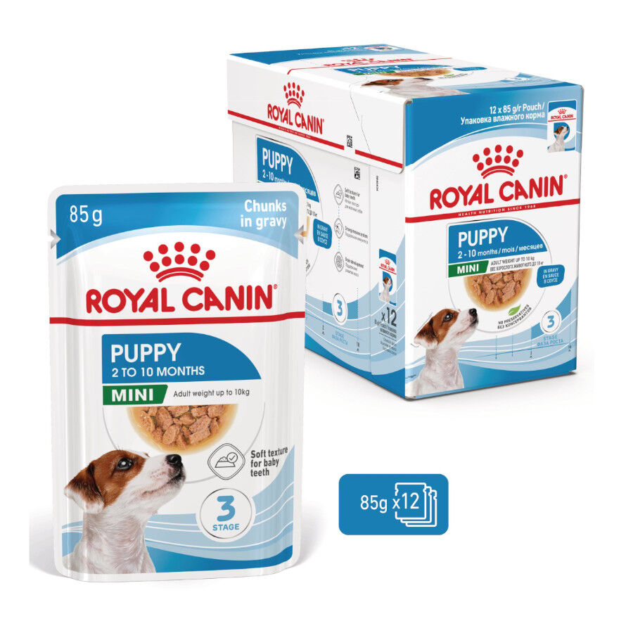12 saquetas x 85 g Royal Canin Mini Puppy alimento h&uacute;mido em molho saquetas para c&atilde;es Pack poupan&ccedil;a!, , large Imagem n&uacute;mero 1