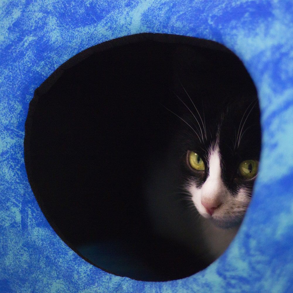 Catshion World Cama Iglu para gatos, , large Imagem n&uacute;mero 2