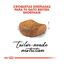 10 kg Royal Canin Adult British Shorthair ração para gatos, , large Indicador imagem número 4