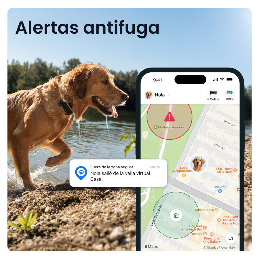 Tractive DOG 6 XL Preto GPS para c&atilde;es, , large Imagem n&uacute;mero 3