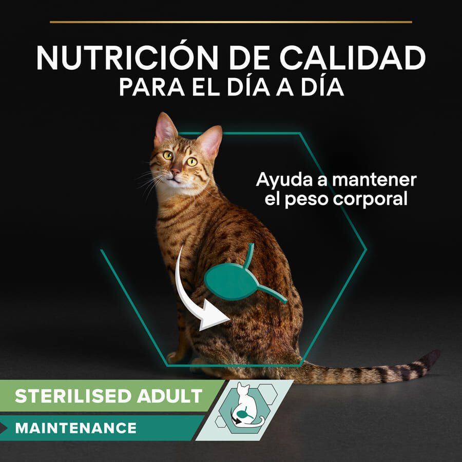 85 g Pro Plan Sterilised Maintenance saquetas com frango em molho para gatos, , large Imagem n&uacute;mero 3