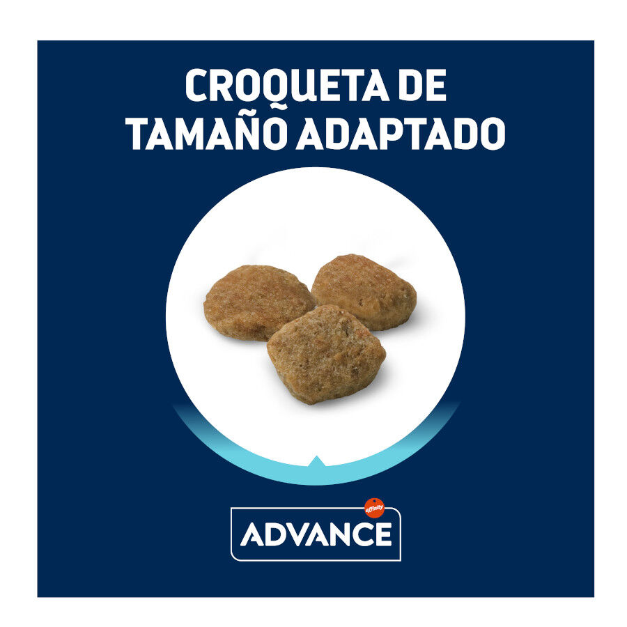 3 kg Advance Active Defense Senior Mini +8 Frango e Arroz ra&ccedil;&atilde;o para c&atilde;es, , large Imagem n&uacute;mero 3