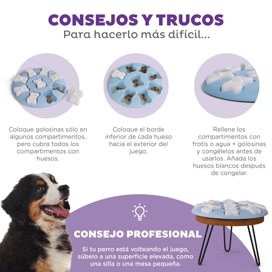 Outward Hound Puppy Smart Puzzle para cachorros, , large Imagem n&uacute;mero 4