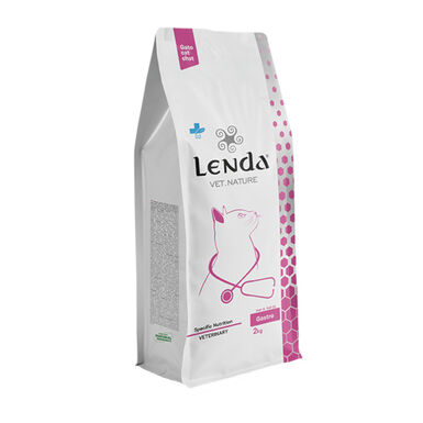 Lenda Vet. Nature Gastro ração para gatos 