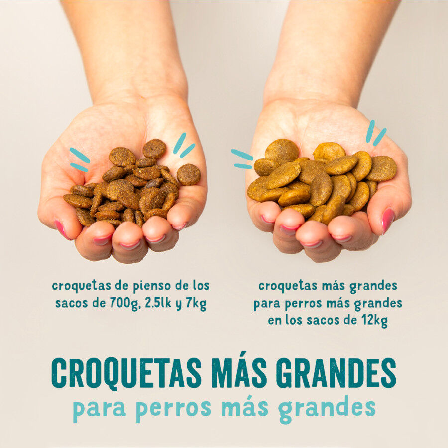 7 kg Edgard & Cooper Ra&ccedil;&atilde;o de beterraba para c&atilde;es, , large Imagem n&uacute;mero 2