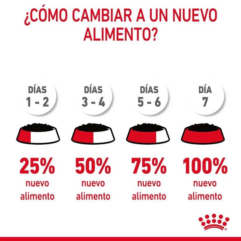 85 g Royal Canin Digestive Sensitive saquetas para gatos,  Imagem número 6 85 g Royal Canin Digestive Sensitive saquetas para gatos, , large Imagem número 6