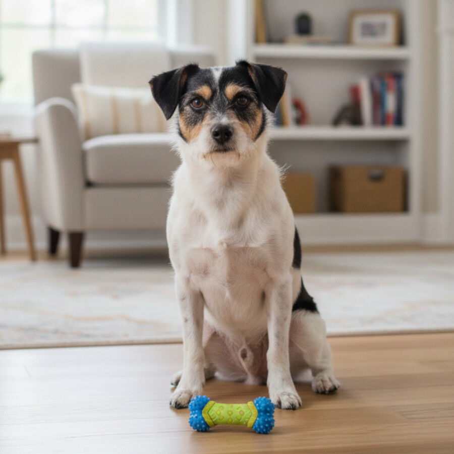 Tootoy! Chew Mordedor dental com apito para c&atilde;es, , large Imagem n&uacute;mero 1