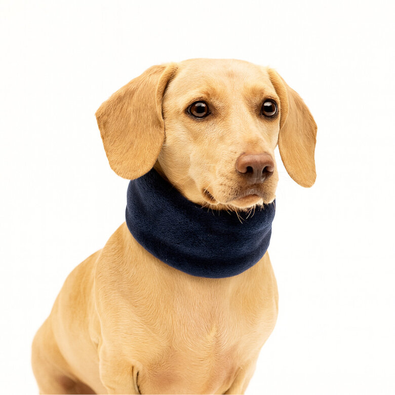 Outech Cachecol Azul para cães,  Imagem número 3 Outech Cachecol Azul para cães, , large Imagem número 3