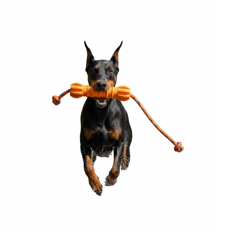 All For Paws Wow Play Brinquedo Stick flutuante para c&atilde;es, , large Imagem n&uacute;mero 3