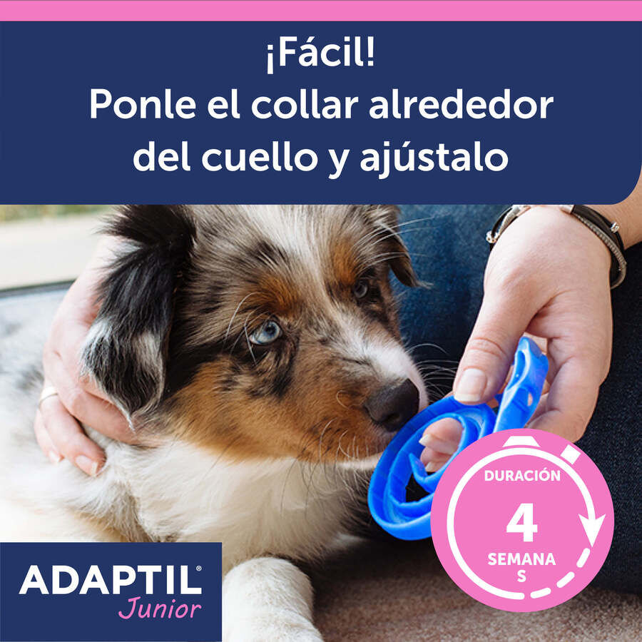 Adaptil Junior Coleira Anti-stress para c&atilde;es, , large Imagem n&uacute;mero 6