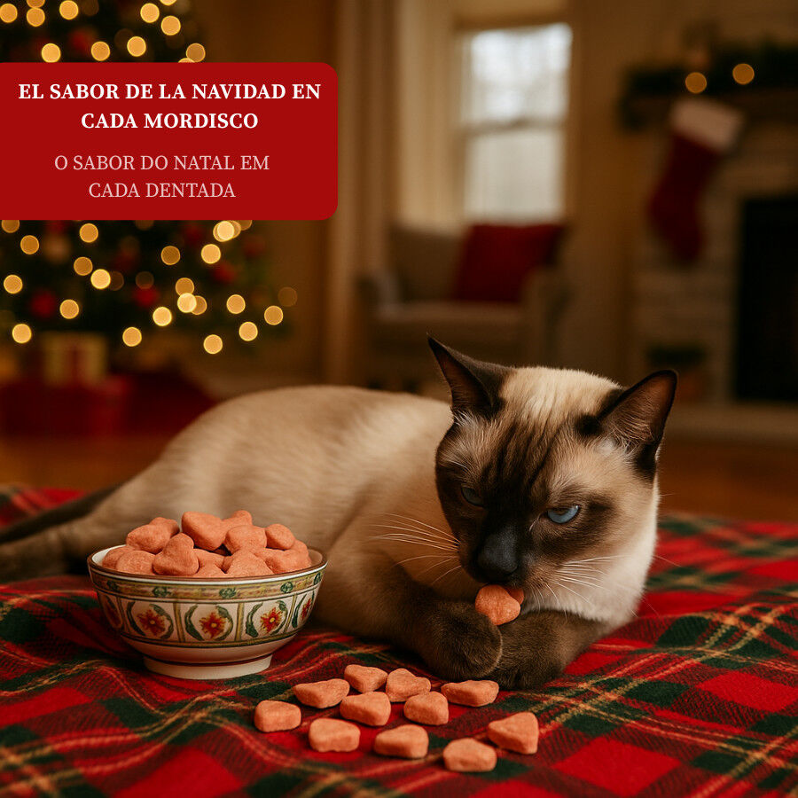 50 g Wonder Christmas Petiscos de Natal para gatos, , large Imagem n&uacute;mero 4