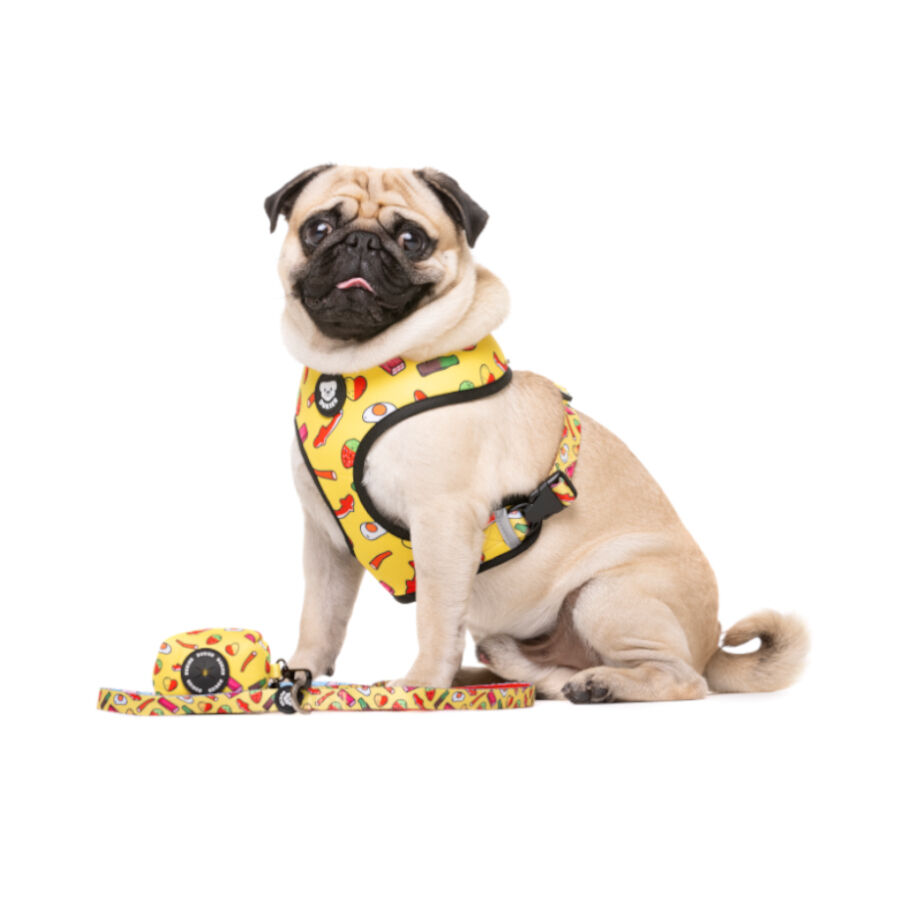 Dukier Sweets trela para c&atilde;es, , large Imagem n&uacute;mero 2