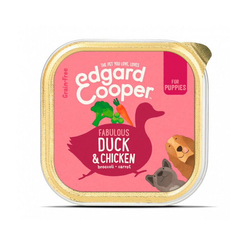 pienso_humedo_perros_edgard_cooper_puppy_pato_pollo_EDG1579_M.jpg Imagem número 1 pienso_humedo_perros_edgard_cooper_puppy_pato_pollo_EDG1579_M.jpg Imagem número 1