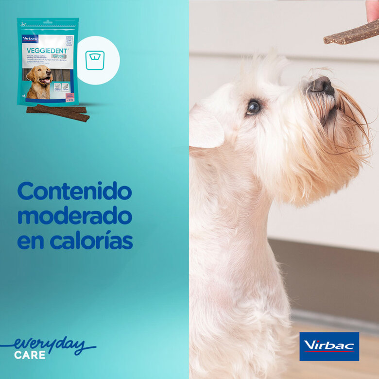 15 sticks Virbac Snacks Dentários VeggieDent Fresh para cães mini,  Imagem número 8 15 sticks Virbac Snacks Dentários VeggieDent Fresh para cães mini, , large Imagem número 8