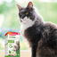 Beaphar VERMIpure Repelente Interno Natural em comprimidos para gatos e gatinhos, , large Indicador imagem número 7