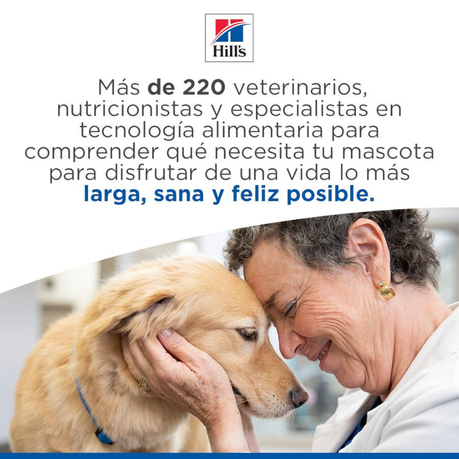 Hill's Smal e Mini Adult Science Plan Frango ra&ccedil;&atilde;o para c&atilde;es, , large Imagem n&uacute;mero 10