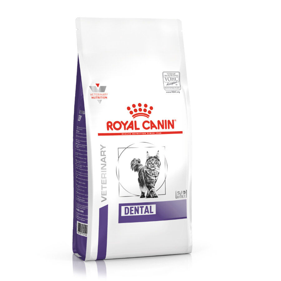 Royal Canin Dental Feline comida para gatos Imagem n&uacute;mero 1