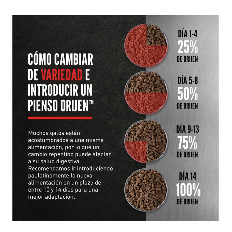 5.4 kg Orijen Original ração para gatos e gatinhos,  Imagem número 8 5.4 kg Orijen Original ração para gatos e gatinhos, , large Imagem número 8