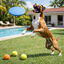 Summer Vibes Frisbee x 3 Balls Kit Bolas e Frisbee para c&atilde;es, , large Indicador imagem n&uacute;mero 1