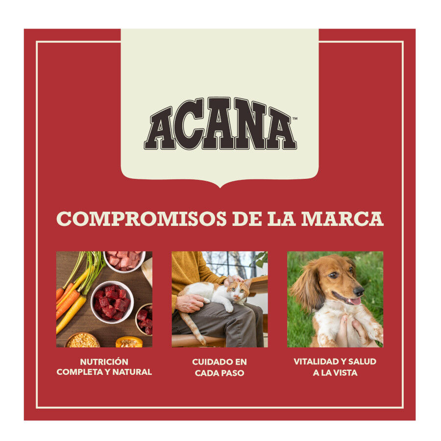 11.4 kg Acana Red Meat ra&ccedil;&atilde;o para c&atilde;es, , large Imagem n&uacute;mero 11
