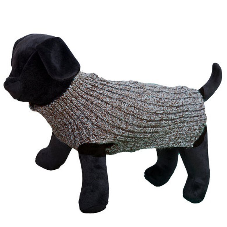 Arppe Alfa celeste jersey para perros image number null