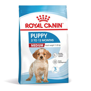 Royal Canin Puppy Medium ração para cachorros médios
