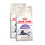2 x 3.5 kg Royal Canin Adult 7+ Regular Sterilised ração para gatos Pack poupança!, , large Indicador imagem número 1