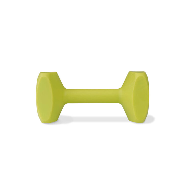 Coachi Halter de brinquedo limão médio para cães,  Imagem número 1 Coachi Halter de brinquedo limão médio para cães, , large Imagem número 1