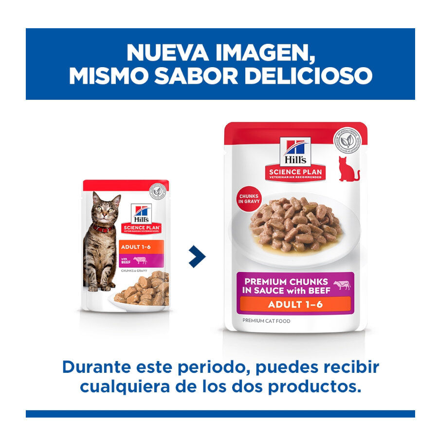 85 g Hill's Science Plan Adult Vitela Saqueta em Molho para gatos, , large Imagem n&uacute;mero 2