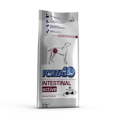Forza 10 Active Line Intestinal Ração para cães