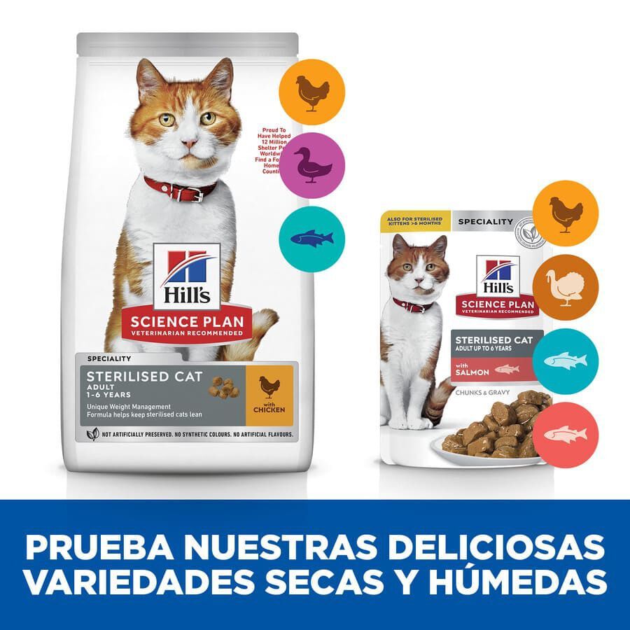 85 g Hill's Science Plan Sterilized Young Adult Salm&atilde;o saquetas para gatos, , large Imagem n&uacute;mero 5