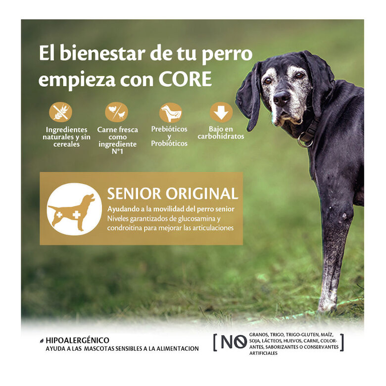 10 kg Wellness Core Senior Frango e Peru ração para cães ,  Imagem número 2 10 kg Wellness Core Senior Frango e Peru ração para cães , , large Imagem número 2