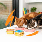 Edgard & Cooper Adult Salmão e Frango em Patê terrina para gatos, , large image number null