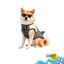 Colete salva-vidas Summer Vibes Shark para c&atilde;es, , large Indicador imagem n&uacute;mero 8